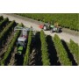 Agroplus F 420  iritrade