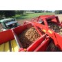Прикачен картофокомбайн GRIMME SE  iritrade